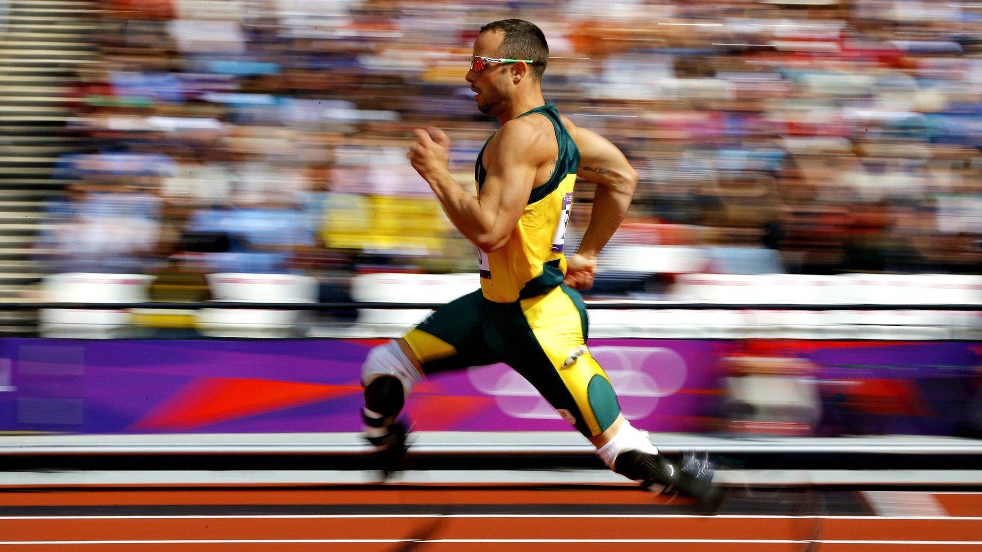 球迷风云：粉丝社群对联盟未来影响巨大，球队粉丝